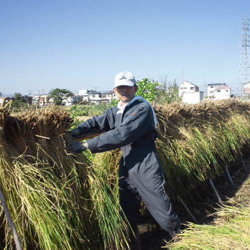 産地直送